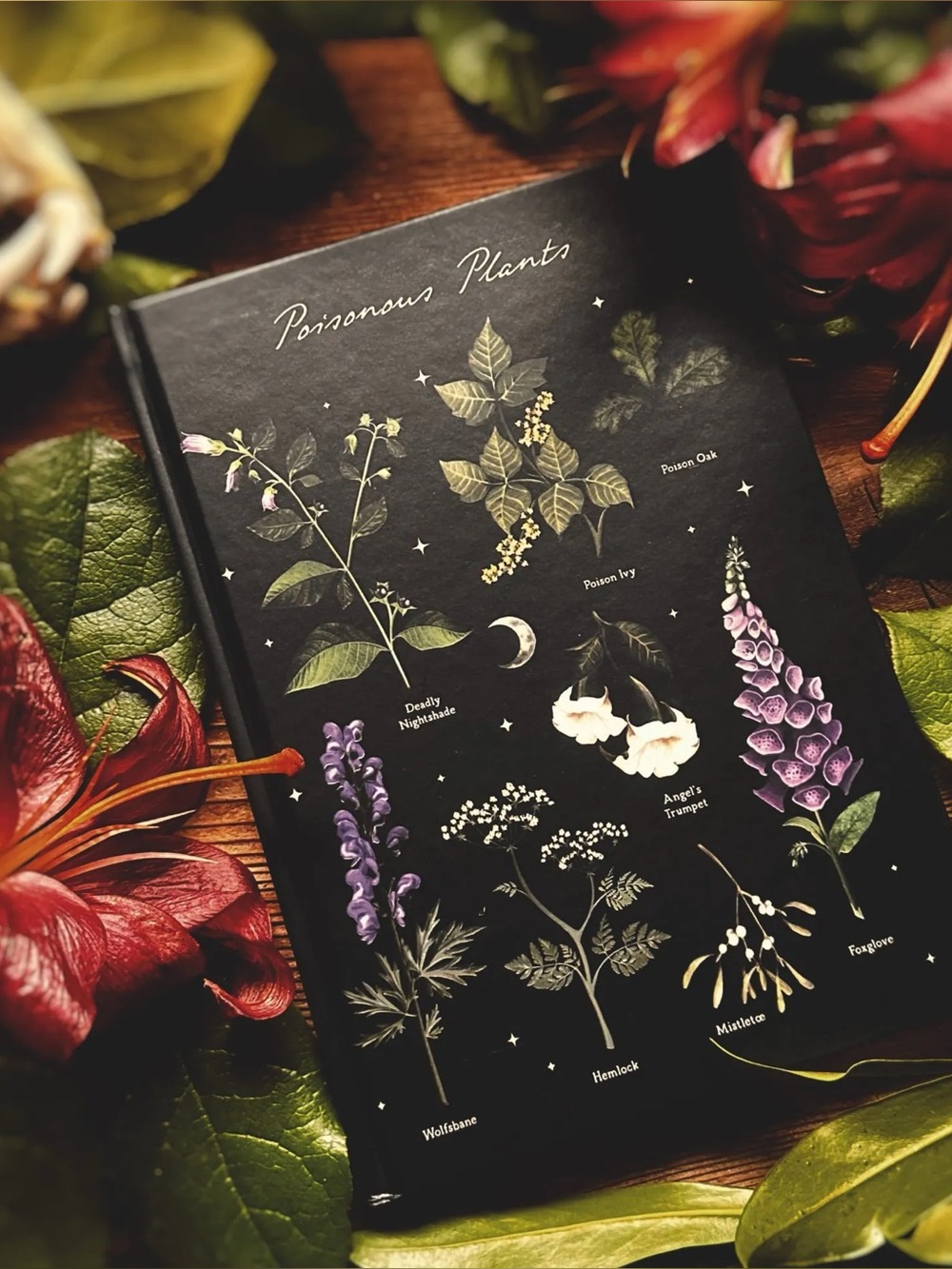 Poisonous Plants Hardcover Notebook New